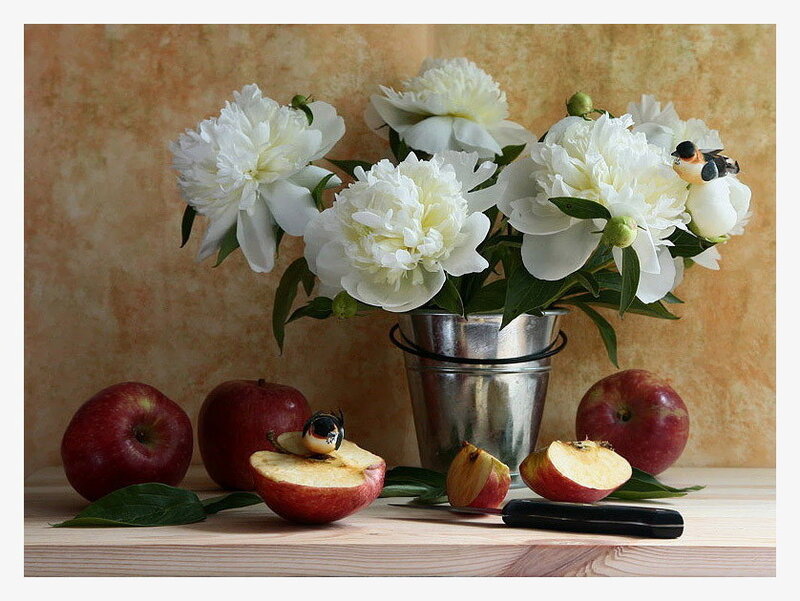 White Peonies and Apples — Serene