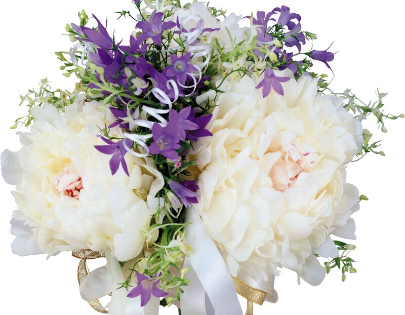 white peonies and purple flowers