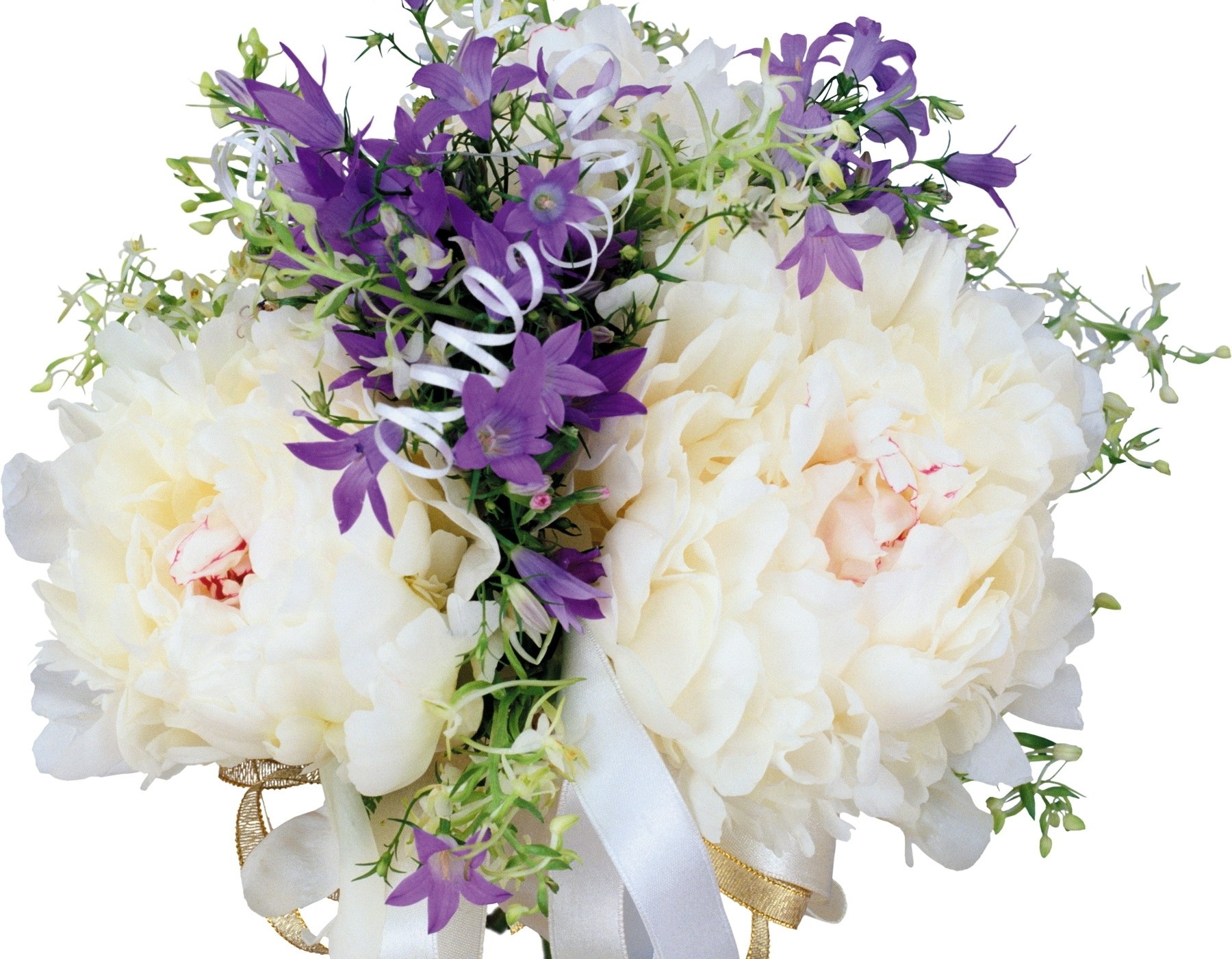 white peonies and purple flowers