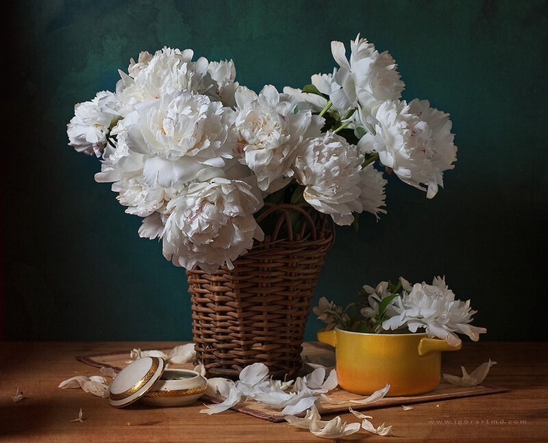 White peonies in a basket