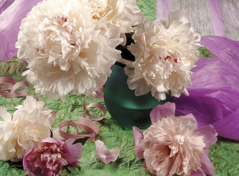 White peonies in a green vase