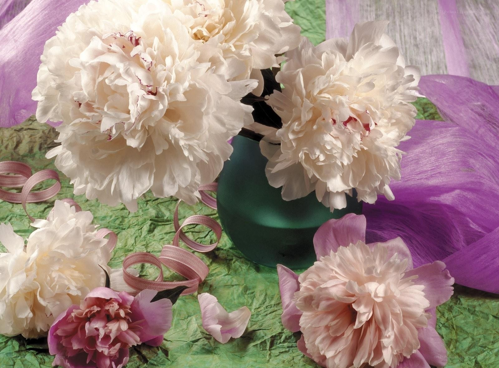 White peonies in a green vase