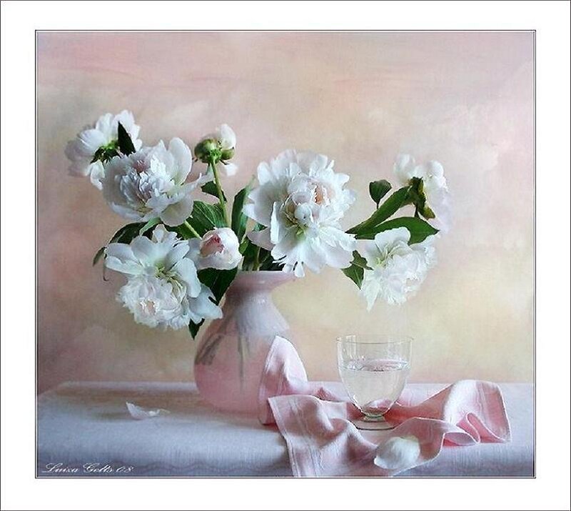White peonies in a vase