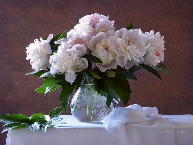 White peonies in a vase