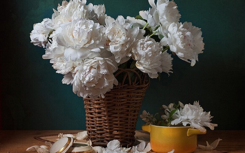White Peonies in Basket — Serene