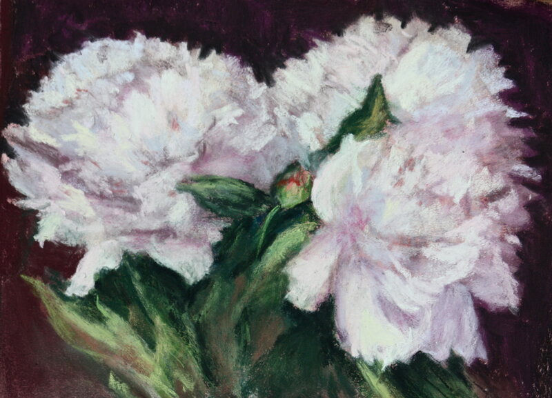 White Peonies in Bloom — Calm
