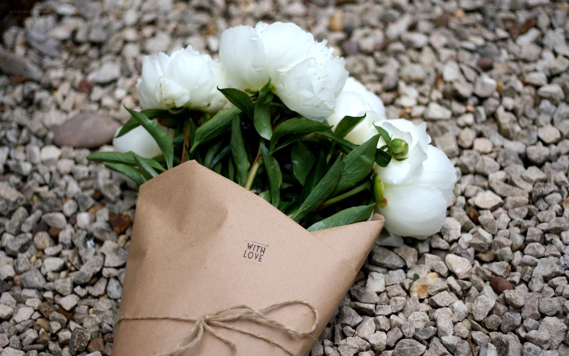 White peonies in brown paper