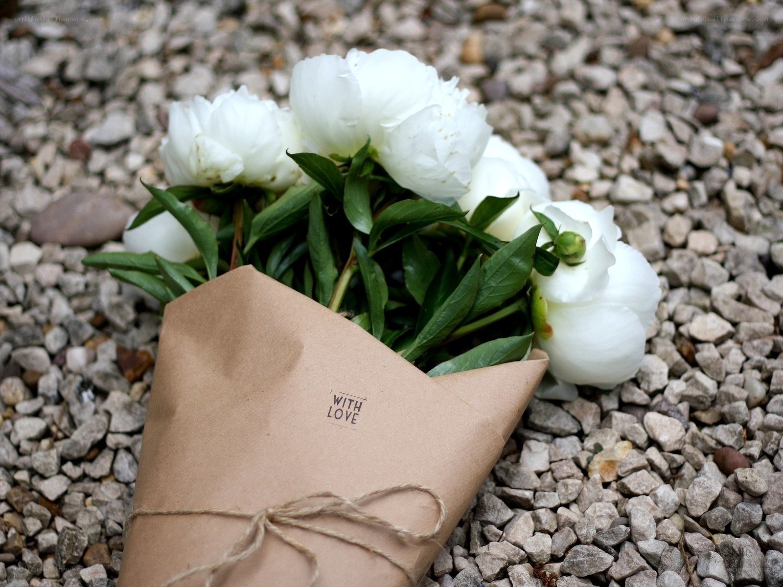 White peonies in brown paper