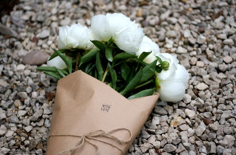 White Peonies in Paper