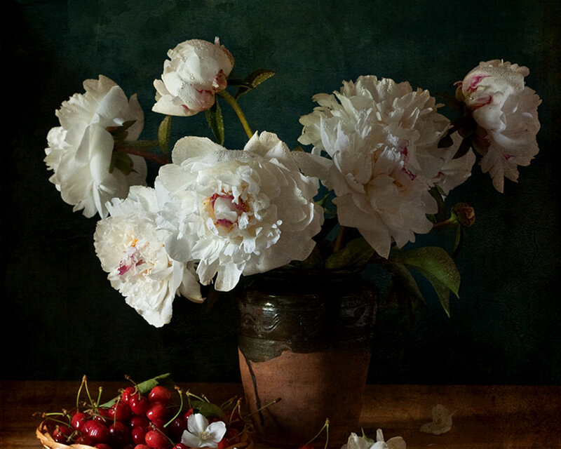 White Peonies in Vase — Dramatic, Photograph, Cherries