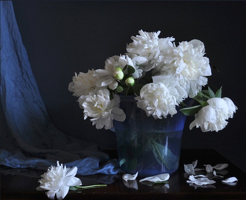 White Peonies in Vase — Dramatic, Photograph, Fabric