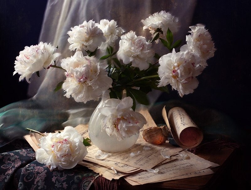 White Peonies in Vase — Dramatic