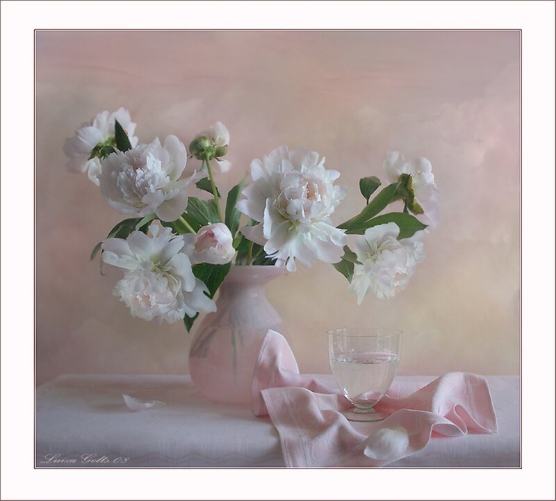 White Peonies in Vase — Pink, Serene, Photograph