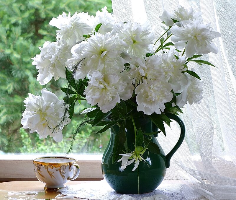 White Peonies in Vase — Serene, Afternoon