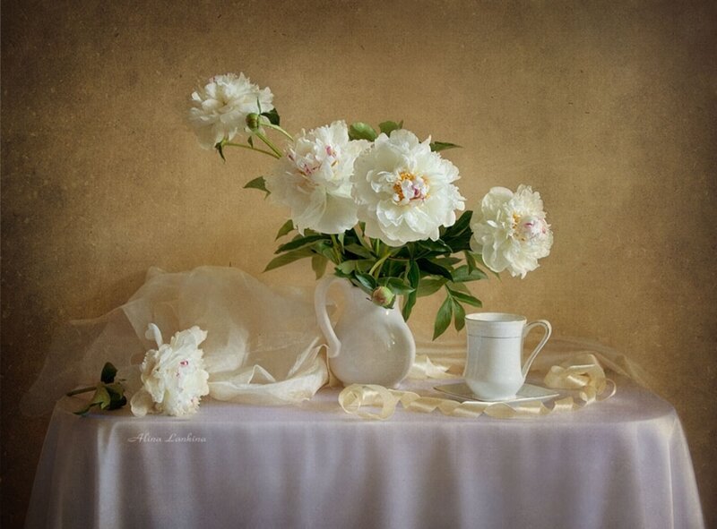 White Peonies in Vase — Serene, Photograph, Cup