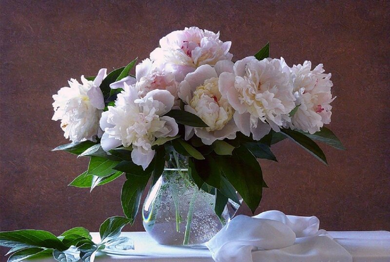 White Peonies in Vase — Serene, Photograph, Green Leaves