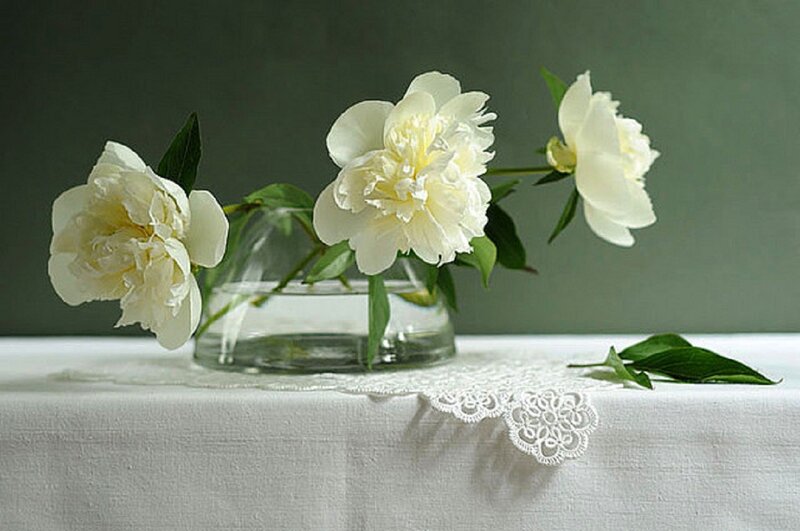 White Peonies in Vase — Serene, Photograph, Tablecloth