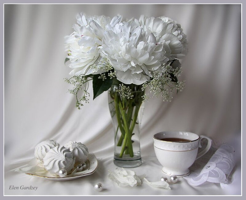 White Peonies in Vase — Serene, Photograph, Tea Cup