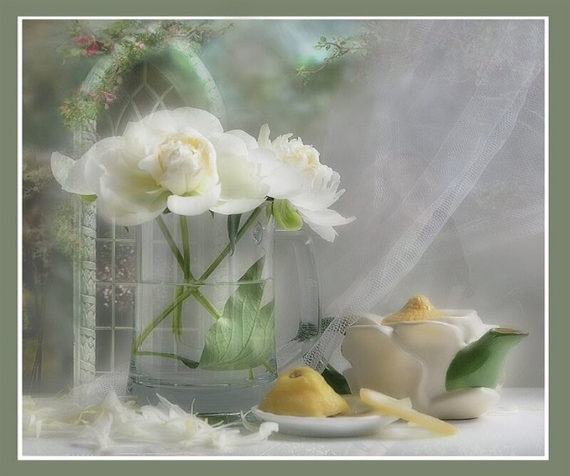 White Peonies in Vase — Serene, Photograph