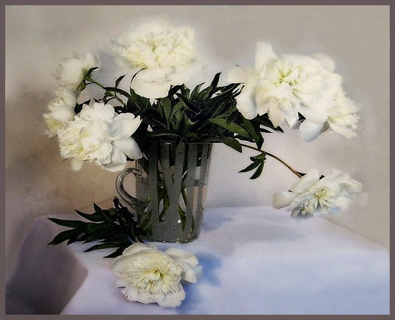 White Peonies in Vase — Serene