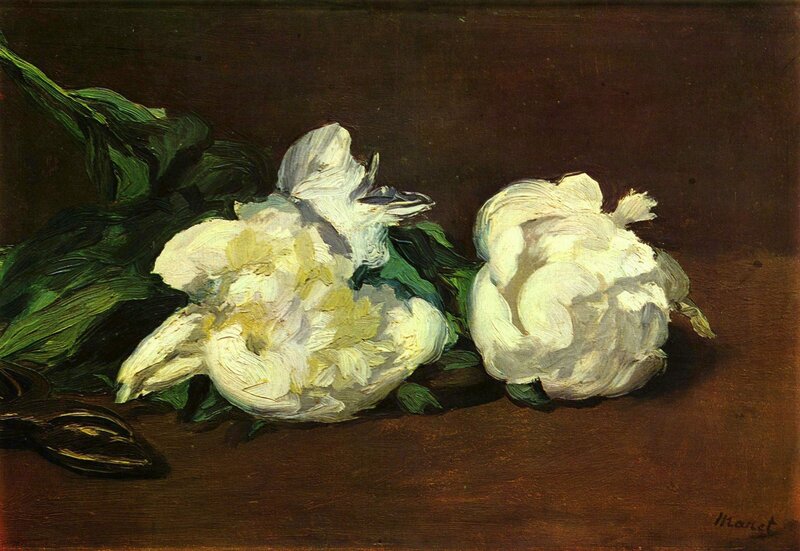 White Peonies on Table