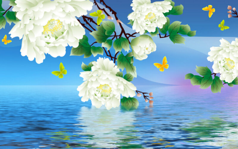 White Peony Flowers — Blue