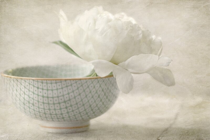 White Peony in Bowl