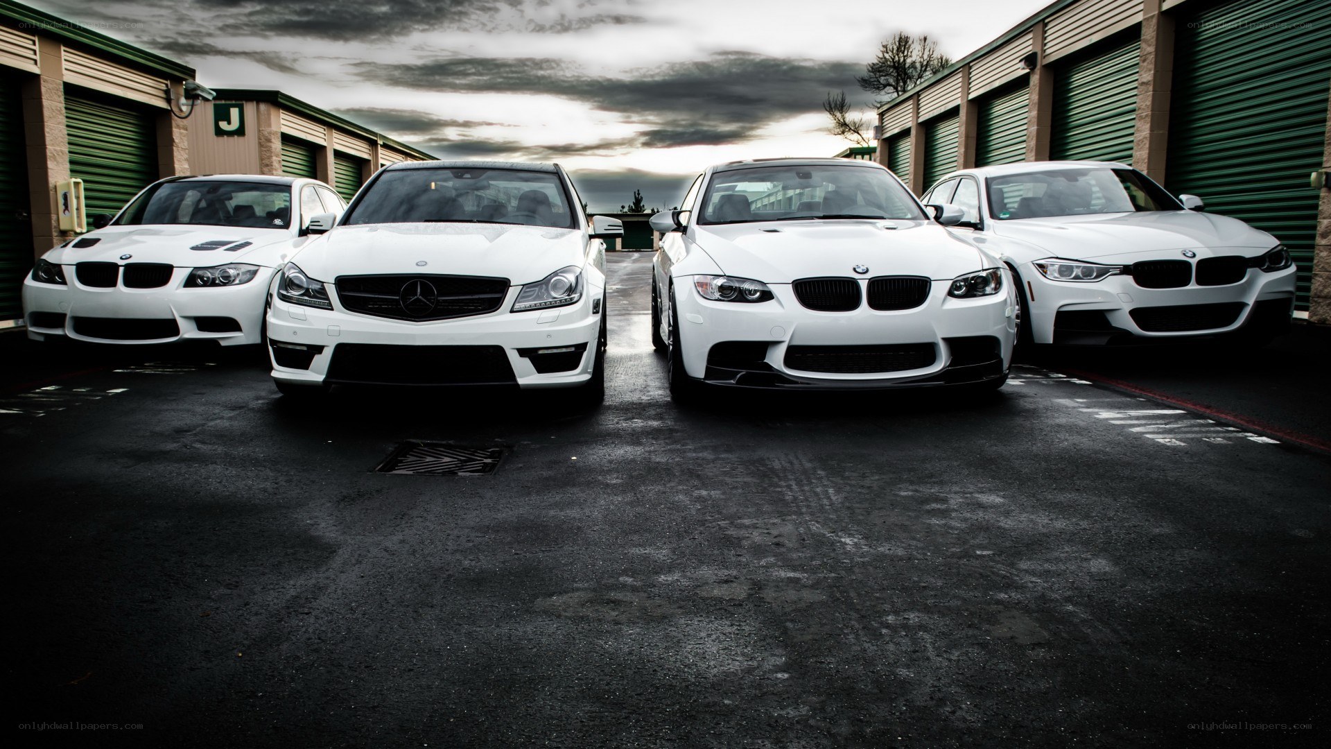 white performance cars in a row