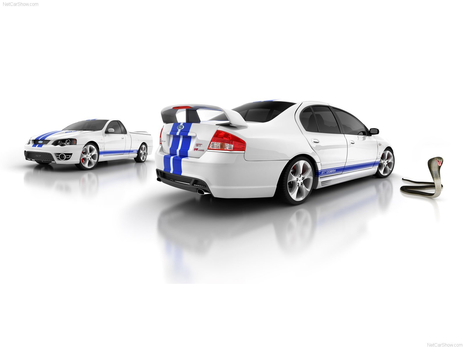 white performance cars with cobra