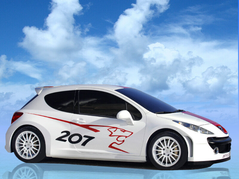 white peugeot 207 race car