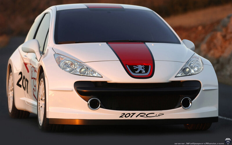White Peugeot 207 RCup car