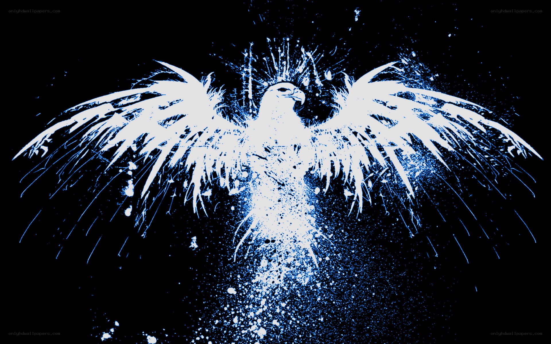 white phoenix bird artwork