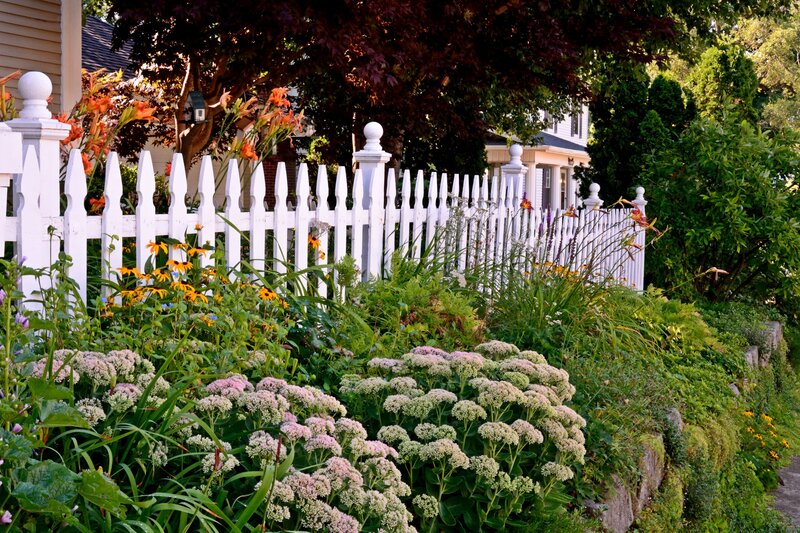 White Picket Fence Garden — Green, Serene, Afternoon, Photograph