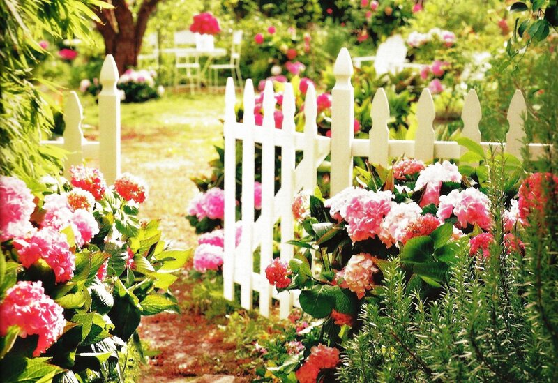 White Picket Fence Garden — Pink, Serene