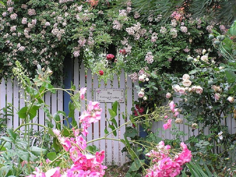 White Picket Fence Garden — Pink