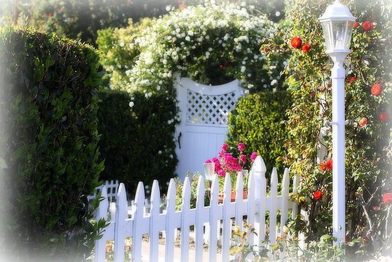 White Picket Fence Garden