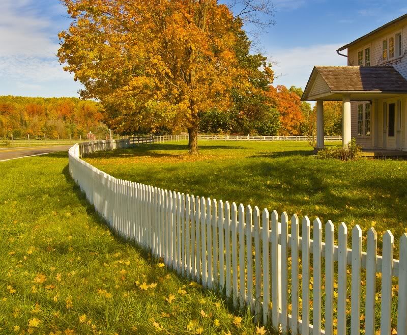 White Picket Fence — Green, Serene