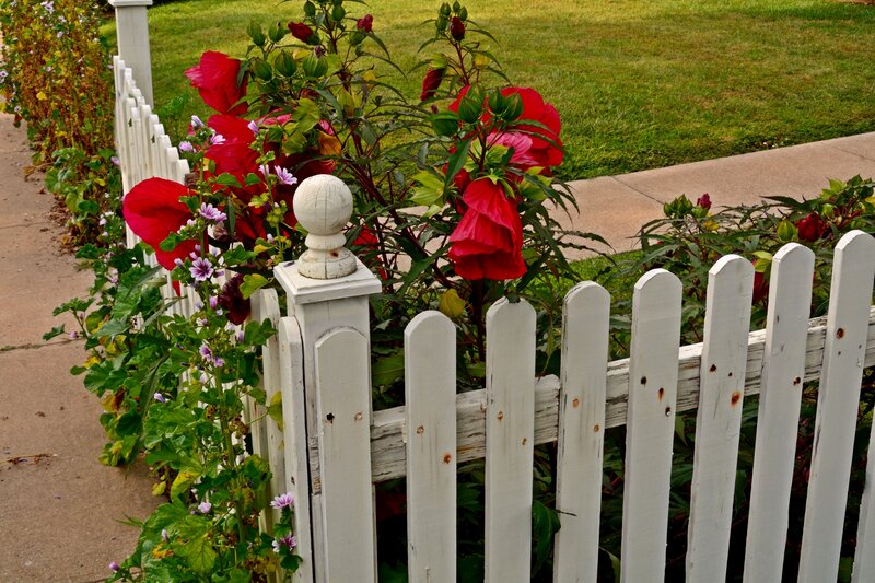 White Picket Fence with Flowers