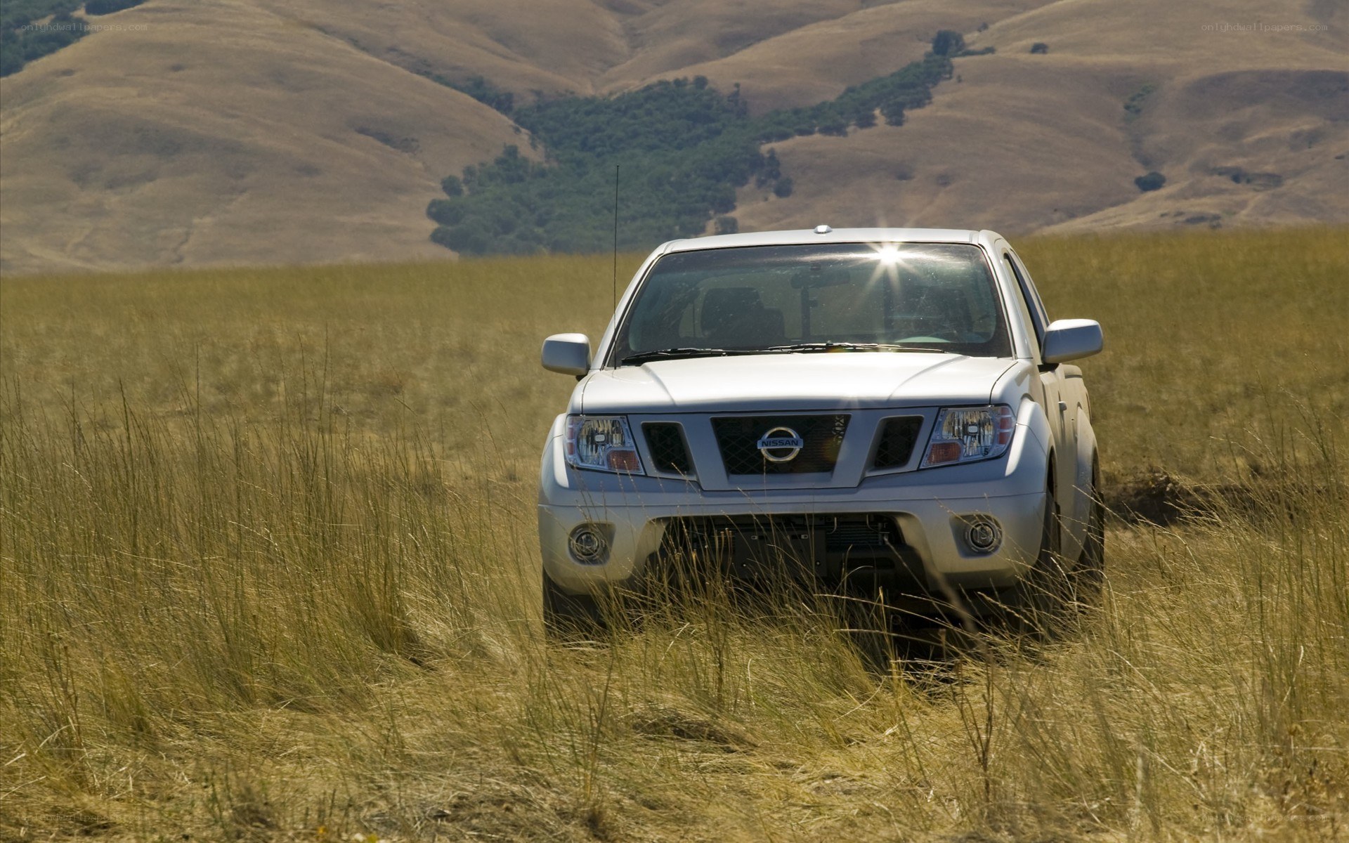 White pickup truck in a field