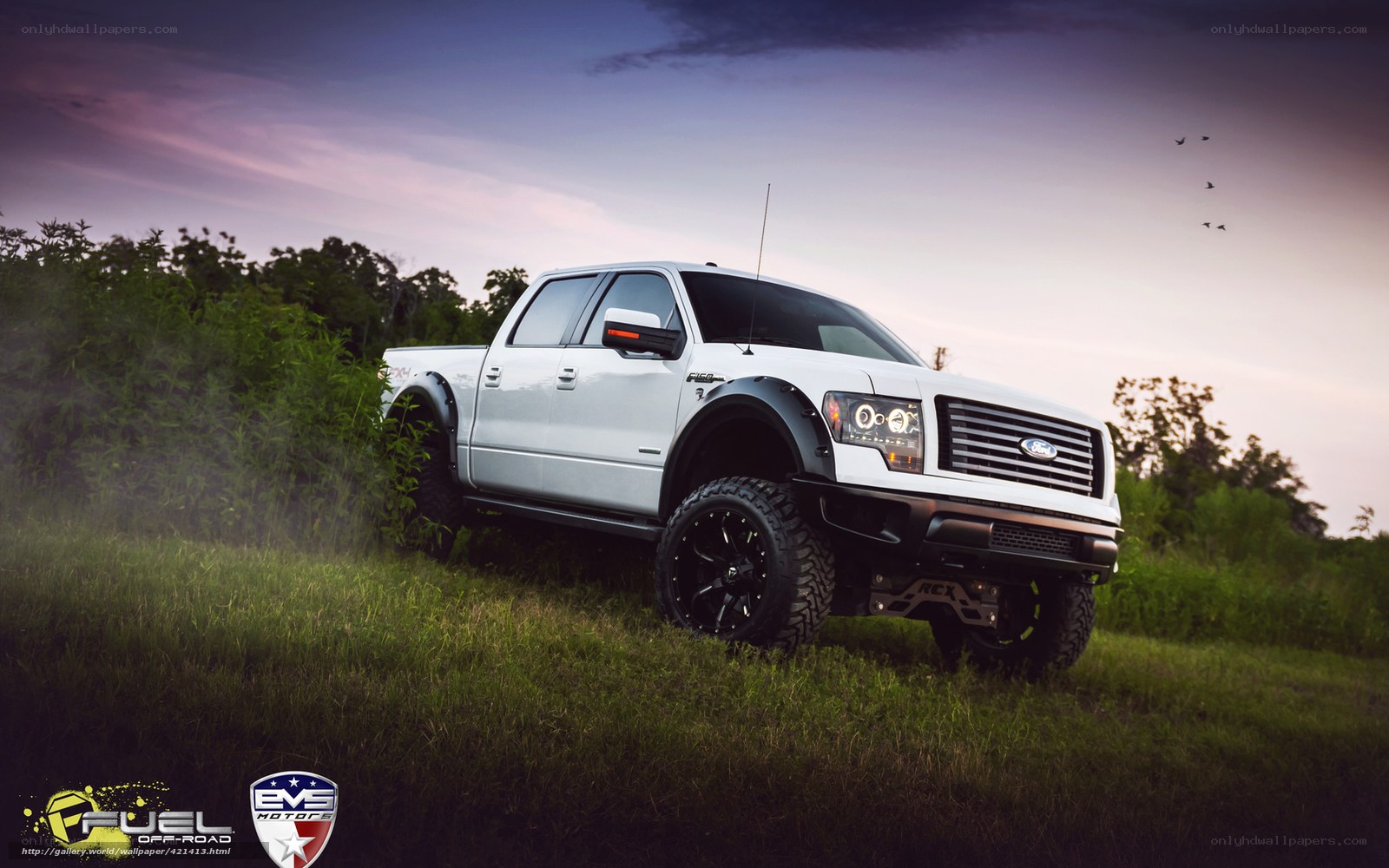 white pickup truck in field