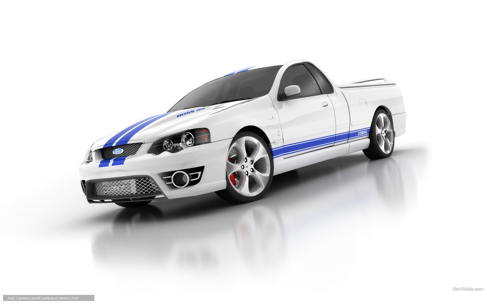 white pickup truck with blue stripes
