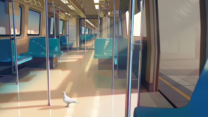 White Pigeon on Train Floor