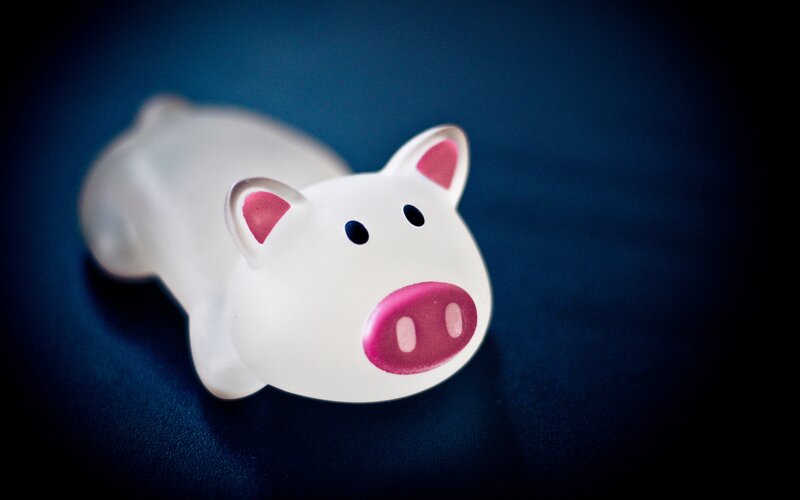 white piggy bank on blue