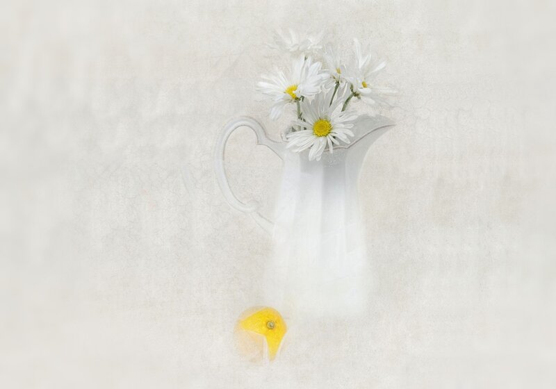 White Pitcher with Daisies