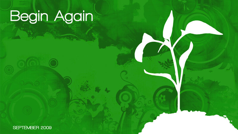 White Plant Sprout