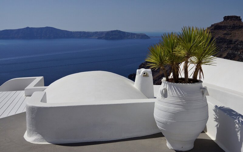 White Planter with Palms