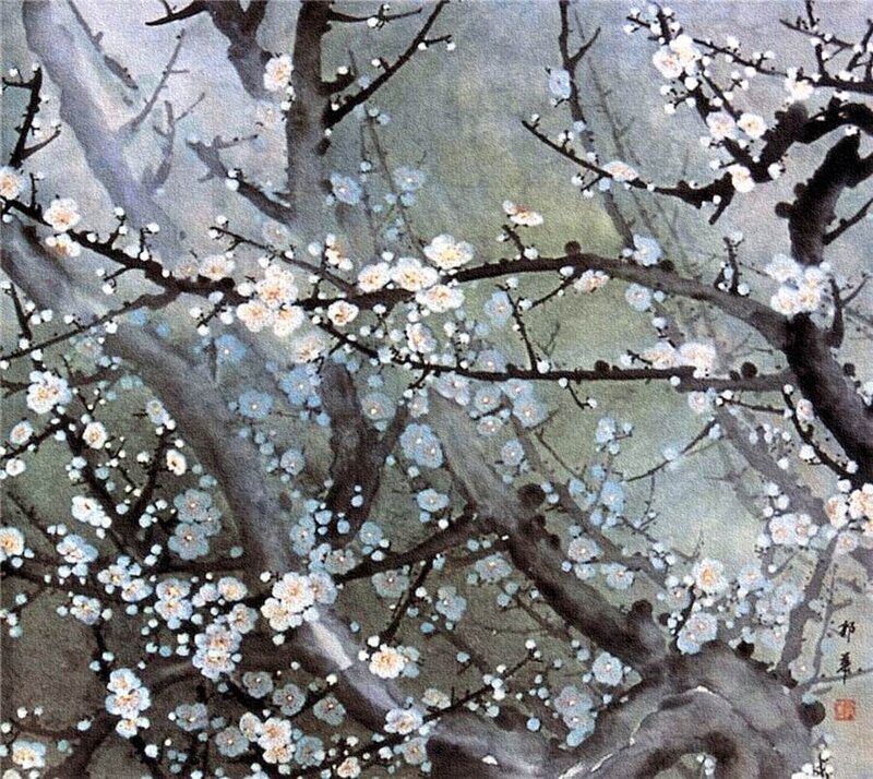 White Plum Blossoms