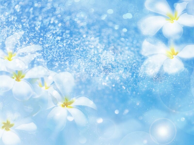 White Plumeria Flowers — Blue