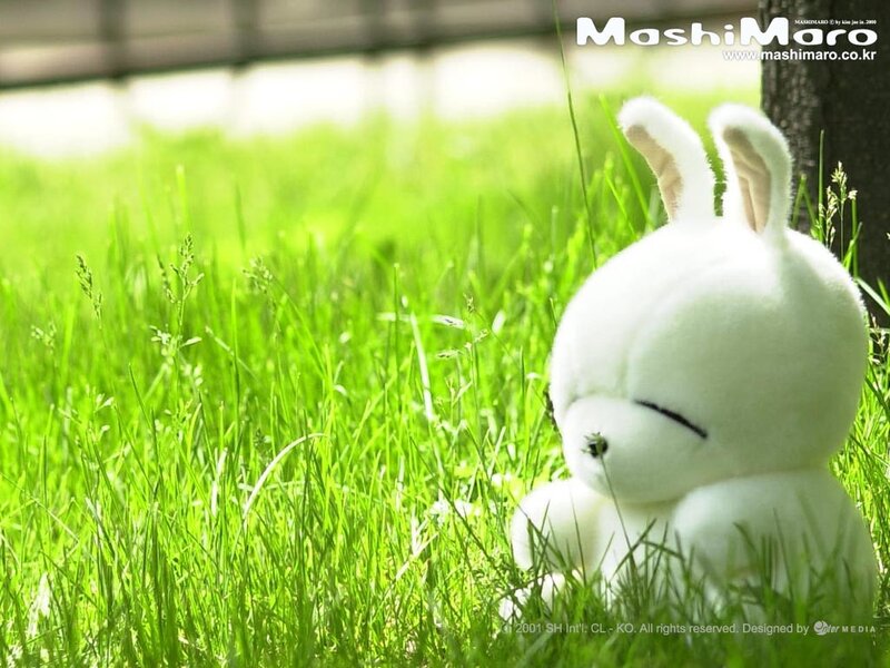 White Plush Rabbit