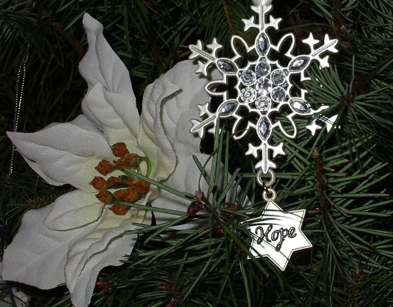 White Poinsettia Flower — Green